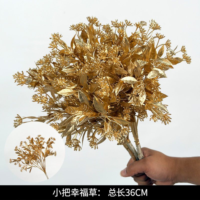 (金漆)小把幸福草