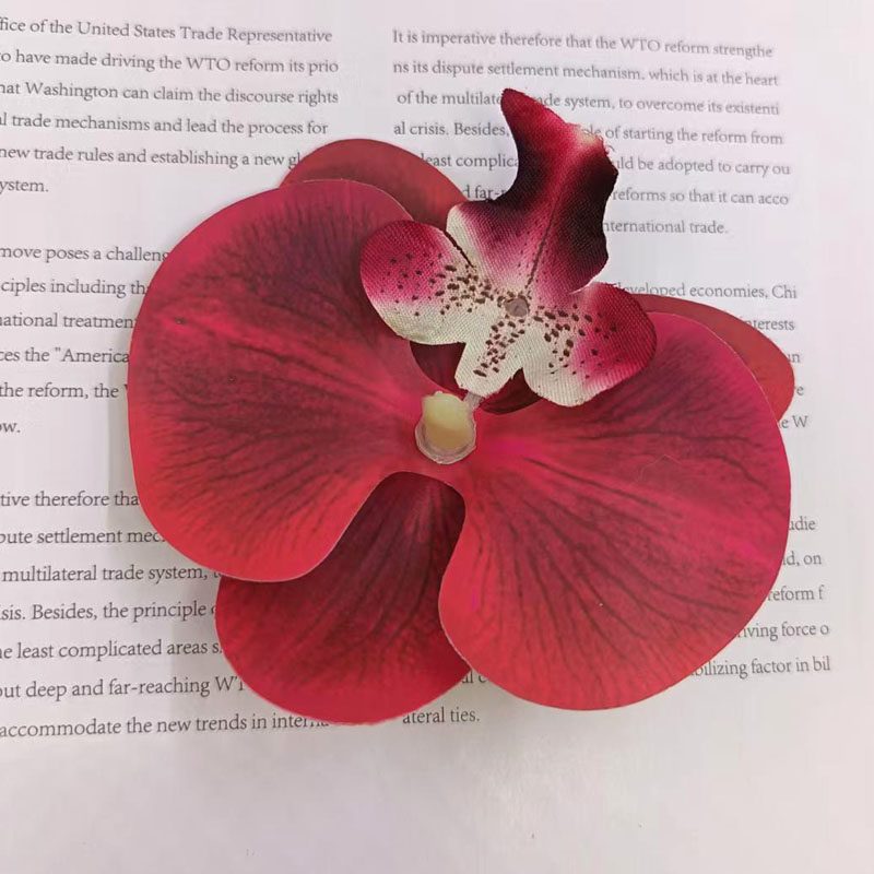 紅色蝴蝶蘭花頭,1入