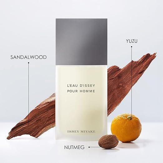 ISSEY MIYAKE 三宅一生 一生之水男性淡香水 EDT 國際航空版