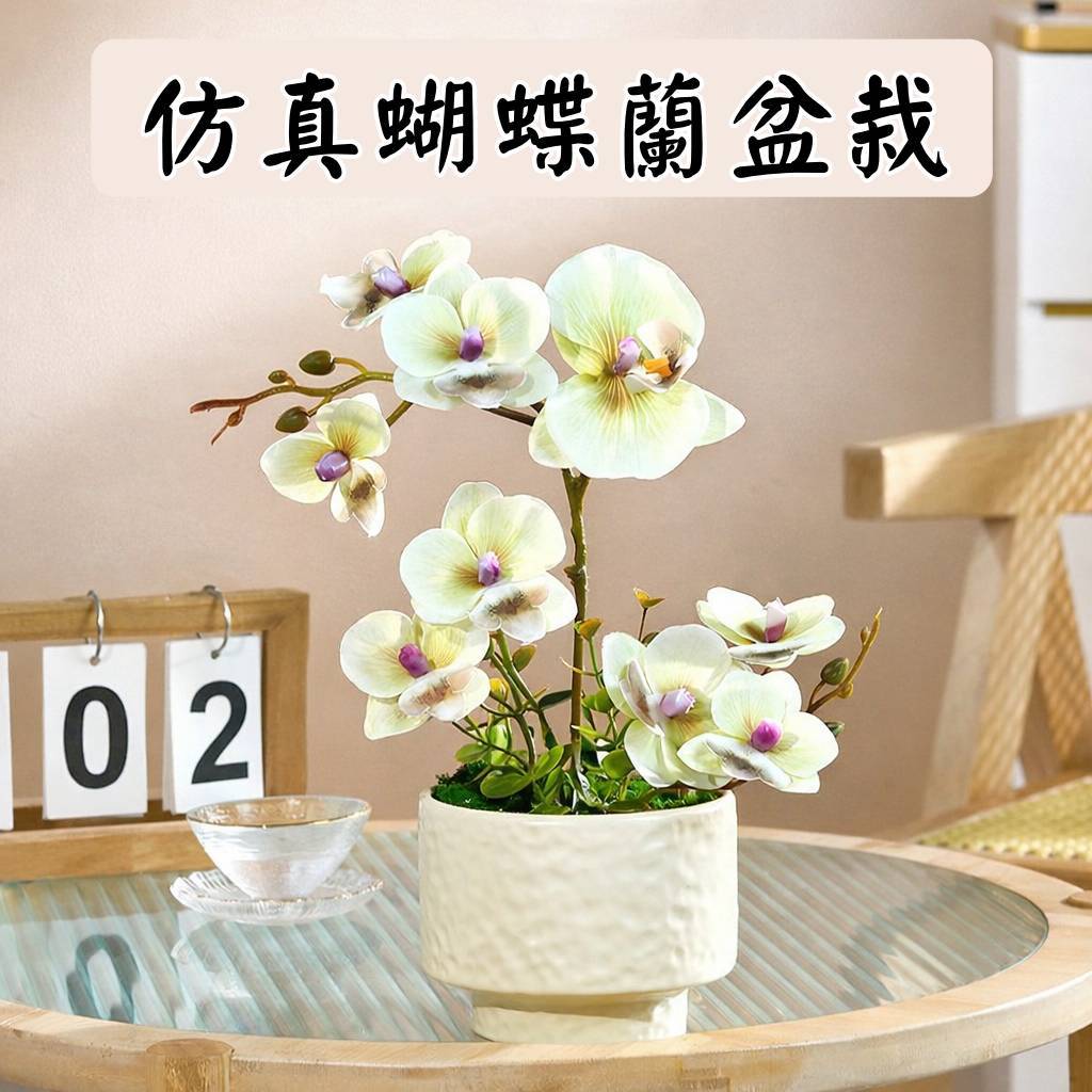 台灣現貨【仿真蝴蝶蘭盆栽】25cm高米色陶瓷瓶擺件 亮綠橘色 玄關客廳辦公室裝飾 新居開幕送禮 新年佈置 生日禮物