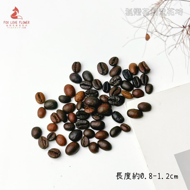 ❰深色❱咖啡豆(10個),🦊~賣場商品眾多，歡迎參觀選購~🦊