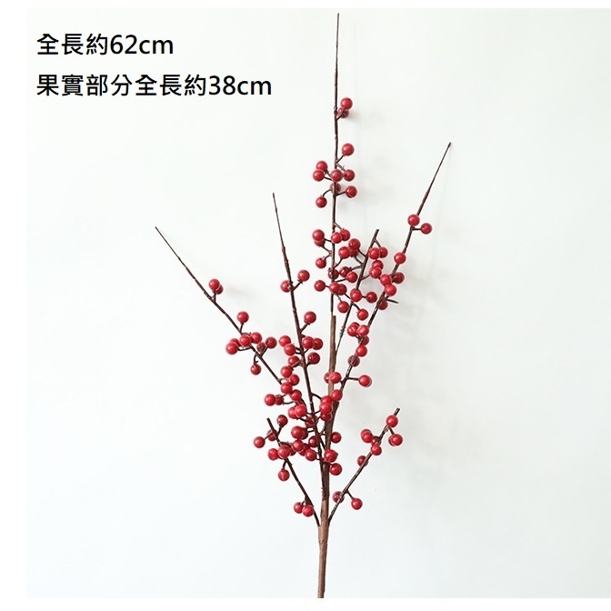 紅果｜相思紅豆（1枝）