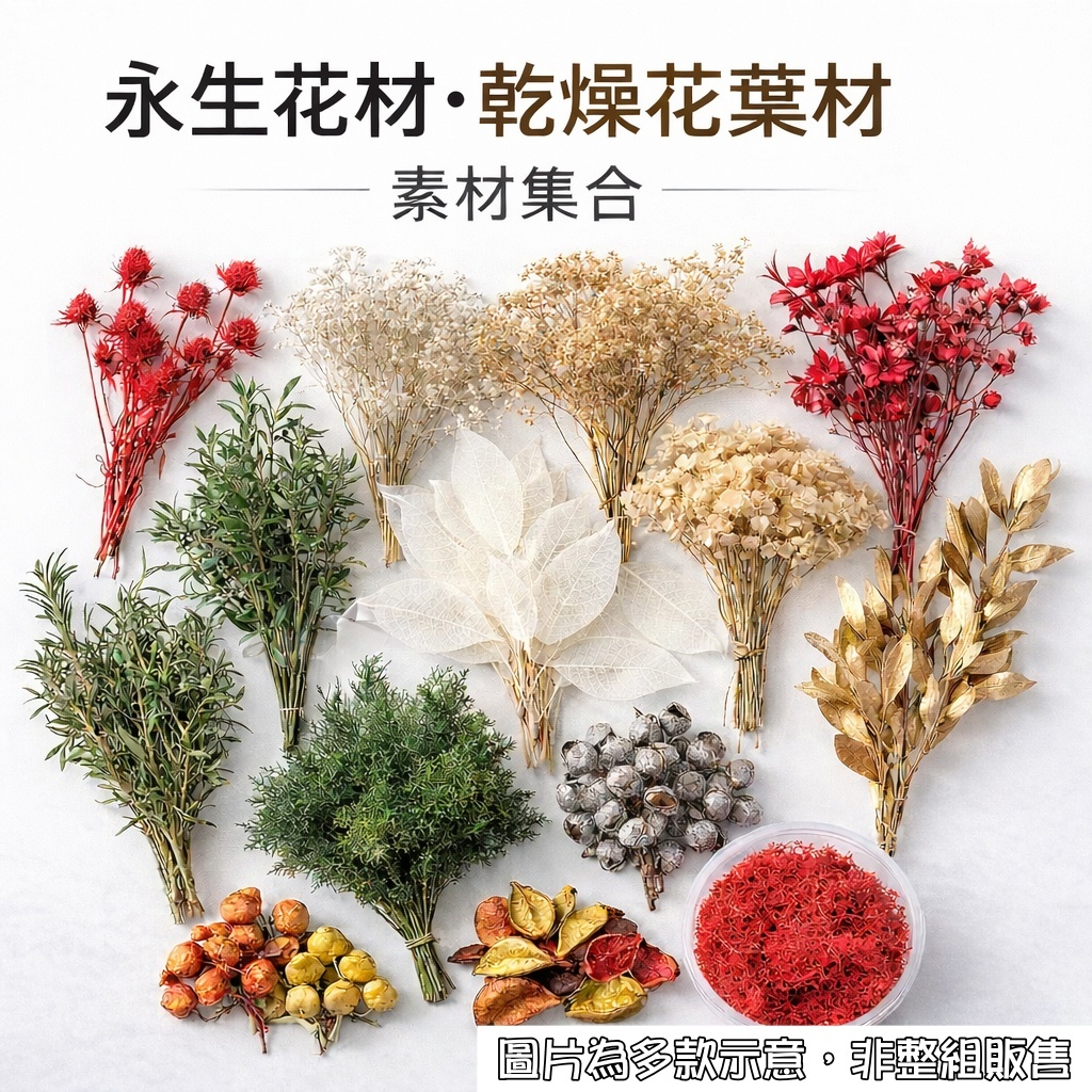 台灣現貨【永生花材乾燥花】葉材果實填充花單款單選 花束花環禮盒包裝手作DIY 花藝設計工作室材料 依規格出貨 萬聖節佈置