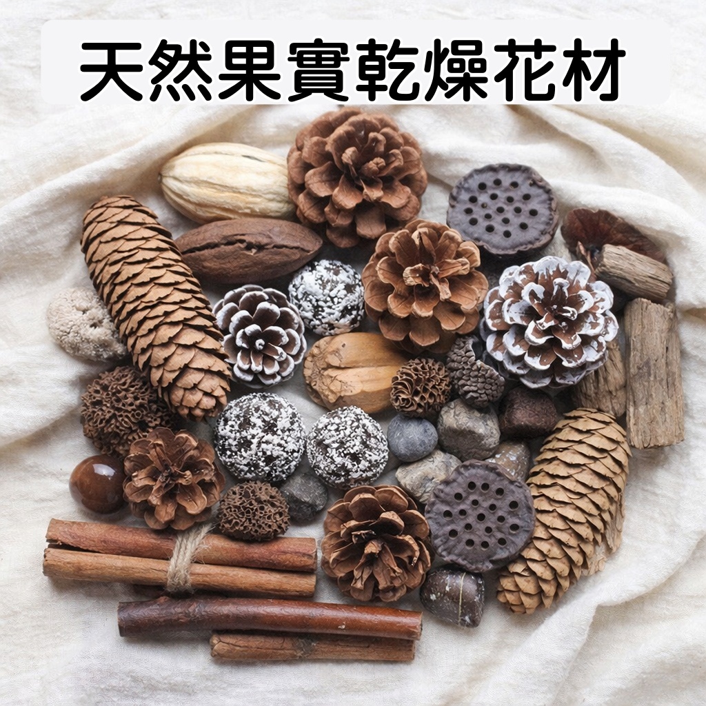 台灣現貨【天然乾燥果實花材】松果果實乾燥花素材 花圈門掛注連繩DIY 新年聖誕佈置手作課程 作品填充裝飾 花藝材料 花圈