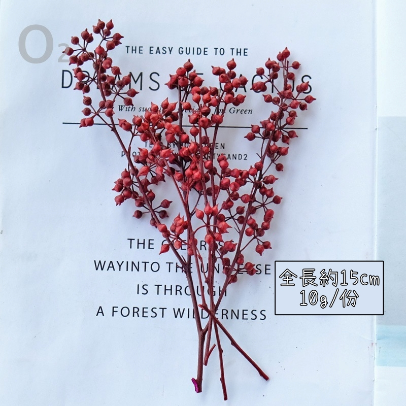 ❰紅色❱小米果(細葉桉果)1份,尺寸與數量請參考選項跟圖片