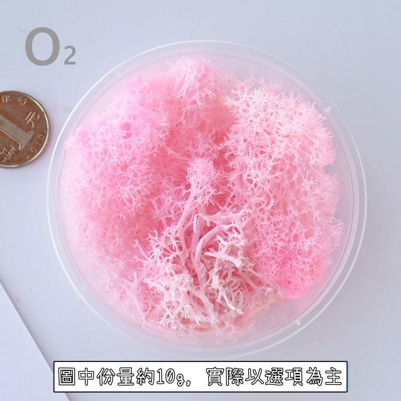 ❰粉色❱苔癬(10g),🦊~賣場商品眾多，歡迎參觀選購~🦊