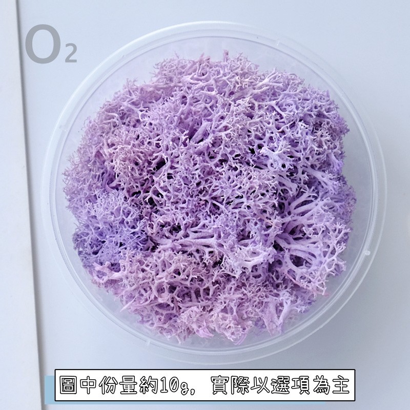 ❰淺紫❱苔癬(10g),🦊~賣場商品眾多，歡迎參觀選購~🦊