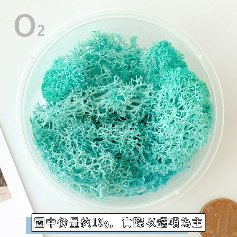 ❰蒂芬妮藍❱苔癬(10g),🦊~賣場商品眾多，歡迎參觀選購~🦊