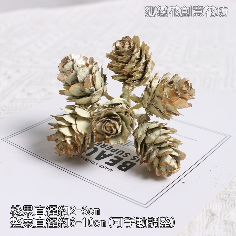 ❰黃金❱落葉松果串(1束6枝)