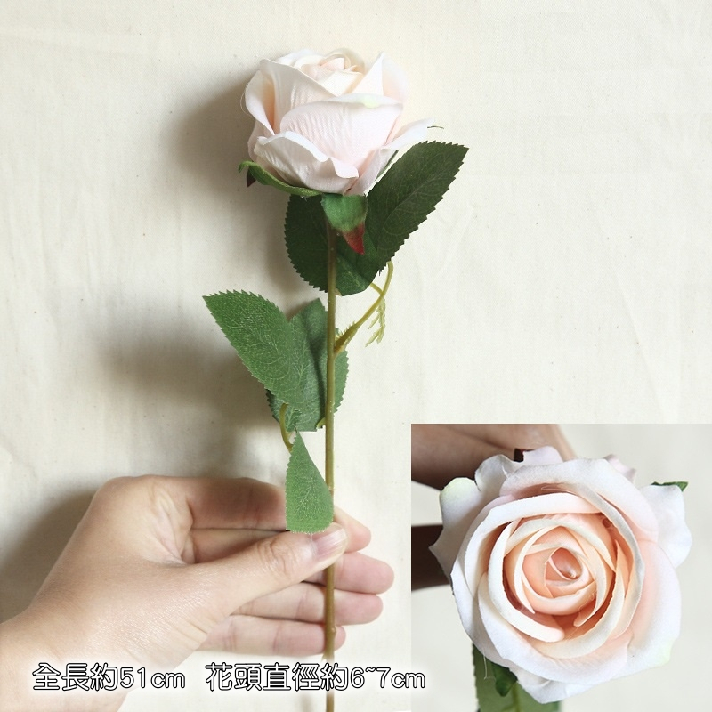 單枝玫瑰❰香檳❱