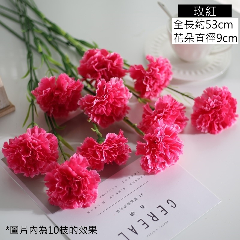單枝康乃馨❰玫紅❱