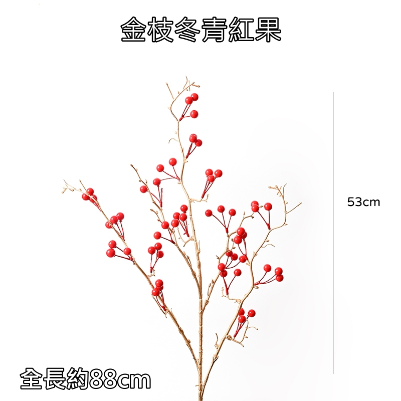 金枝冬青果