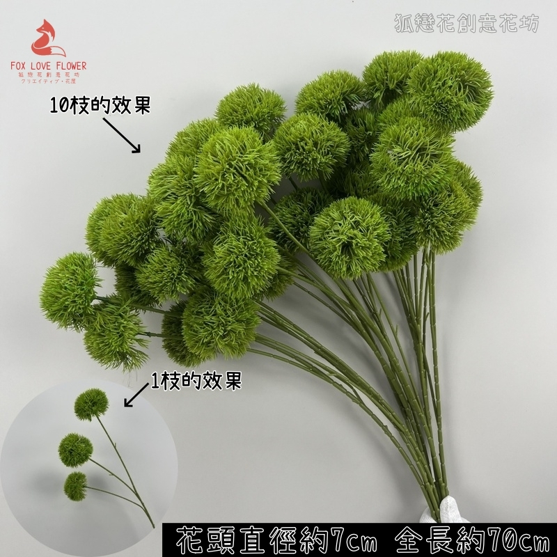 3頭綠石竹