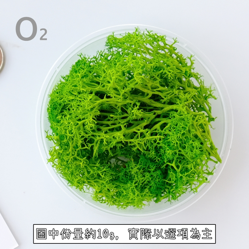 ❰綠❱苔癬(10g),🦊~賣場商品眾多，歡迎參觀選購~🦊