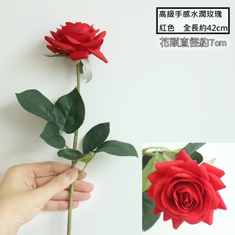 水潤角玫瑰❰紅色❱
