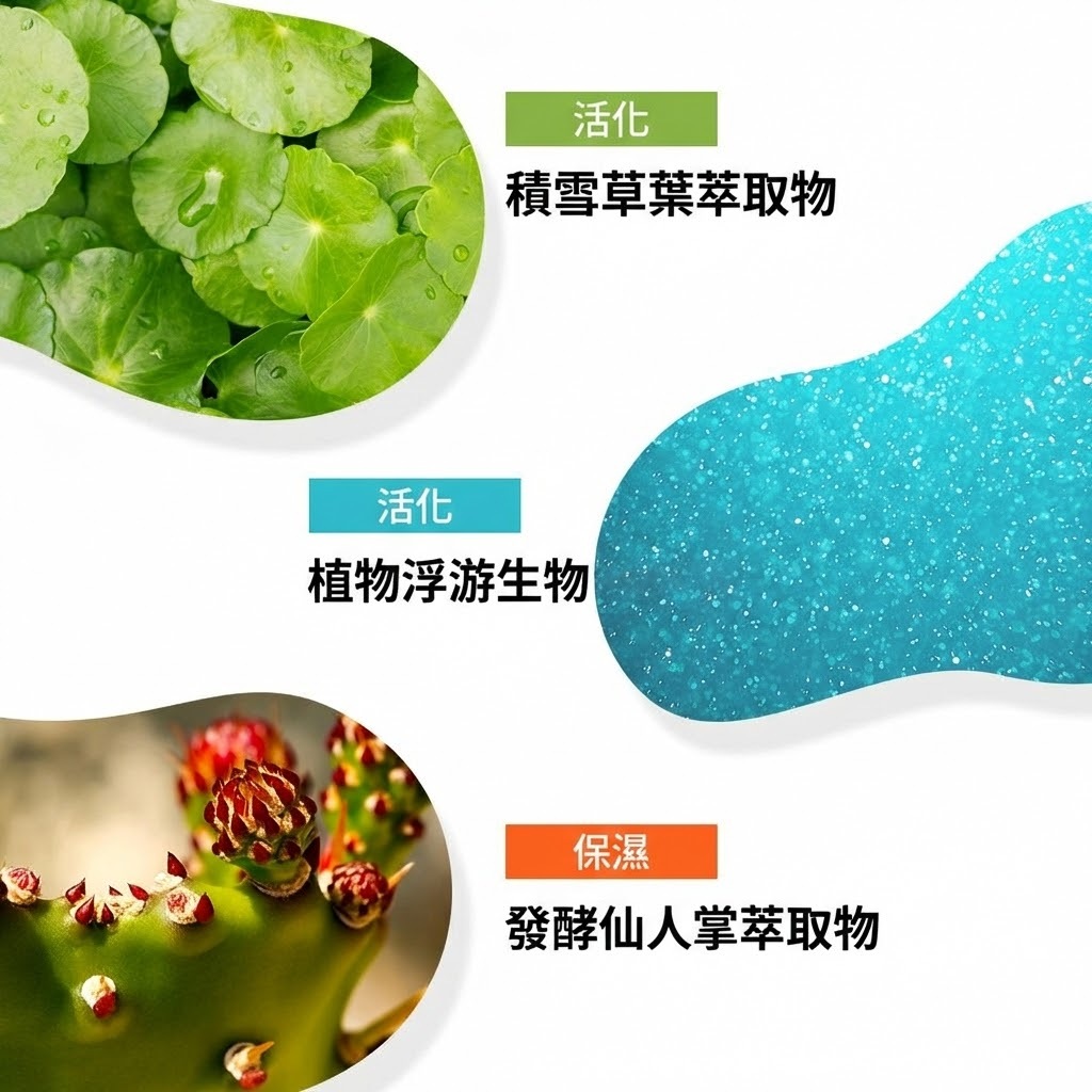 GRAFEN 積雪草深層修護護髮素 300ml