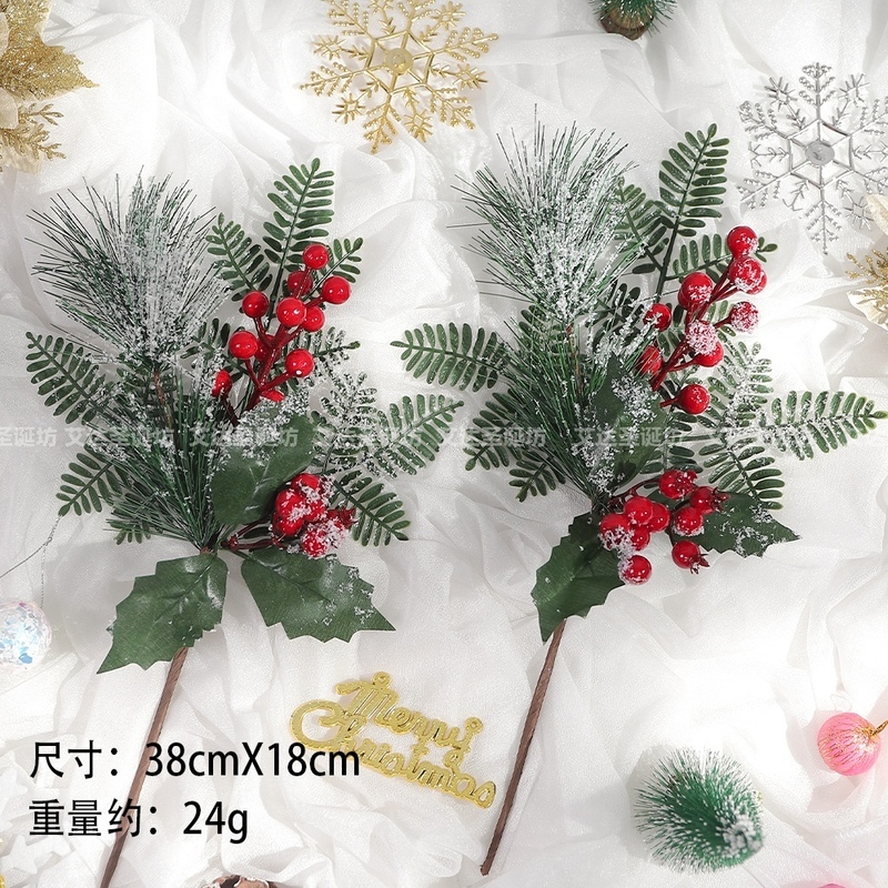 雪松鴻果蕨葉插枝,🦊~賣場商品眾多，歡迎參觀選購~🦊