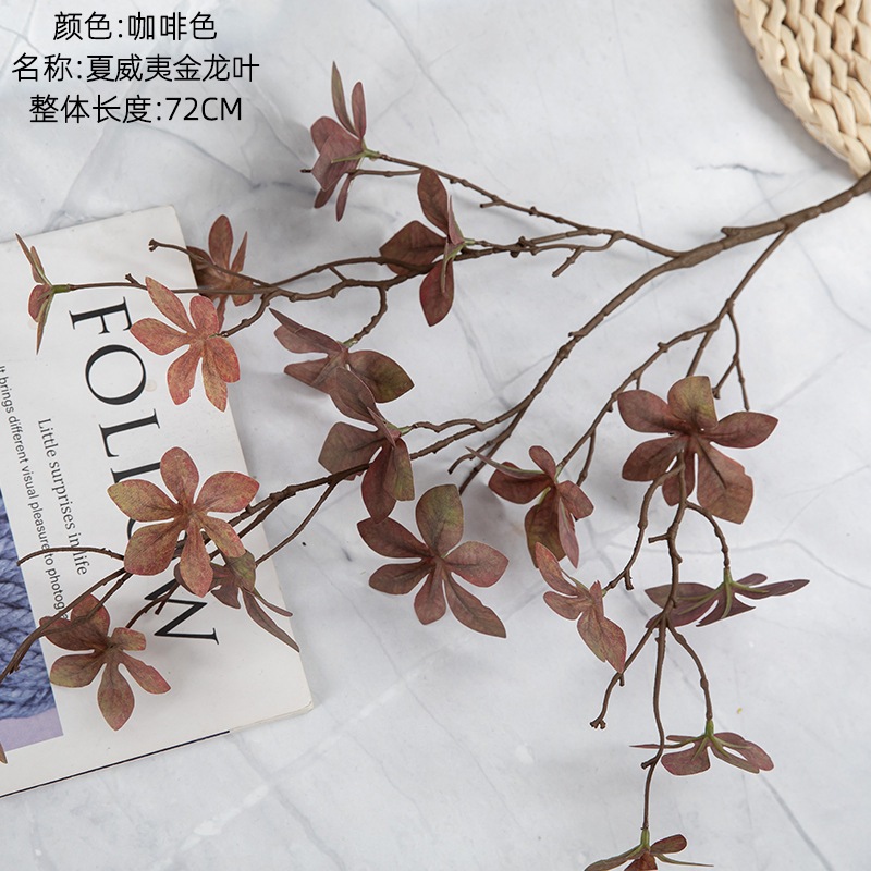 夏威夷金龍葉(咖啡色)