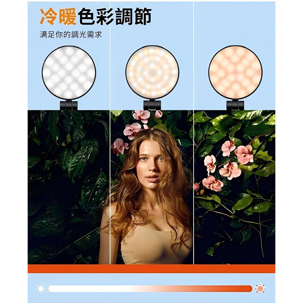 縮圖 5
