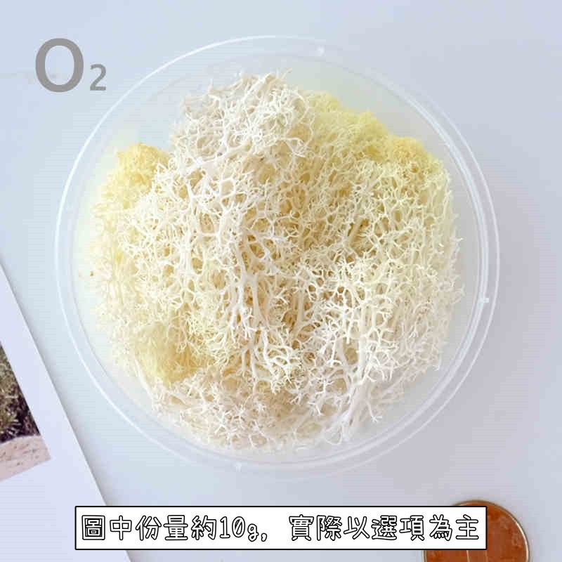 ❰奶白❱苔癬(10g),🦊~賣場商品眾多，歡迎參觀選購~🦊
