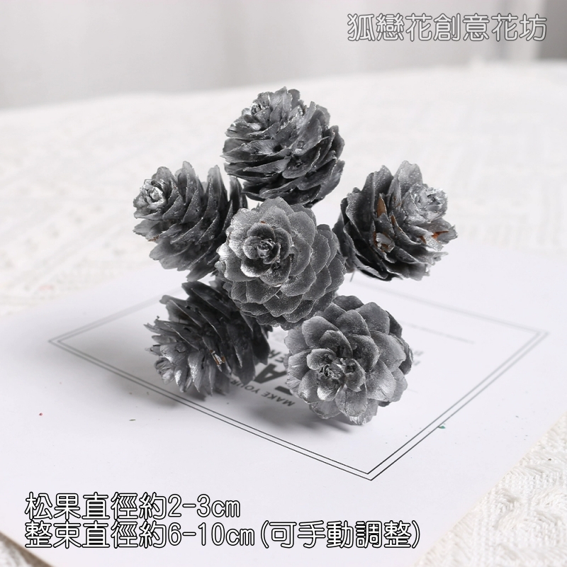 ❰銀色❱落葉松果串(1束6枝)