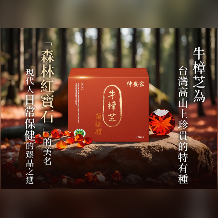 Antromax®牛樟芝菌絲體膠囊 60顆/盒