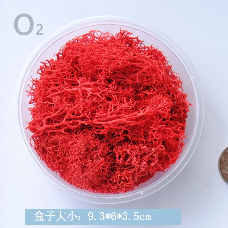 ❰紅色❱ 永生苔蘚（1份）,🦊~賣場商品眾多，歡迎參觀選購~🦊
