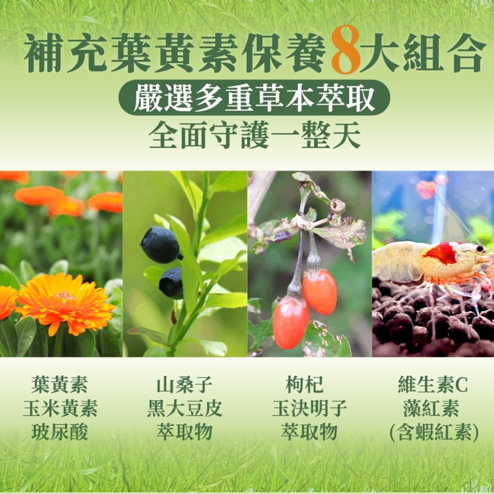 YONY 葉黃素錠 60錠/罐