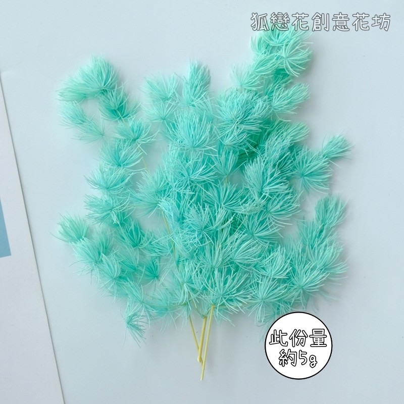 ❰蒂芬妮藍❱蓬萊松(5g),🦊~賣場商品眾多，歡迎參觀選購~🦊