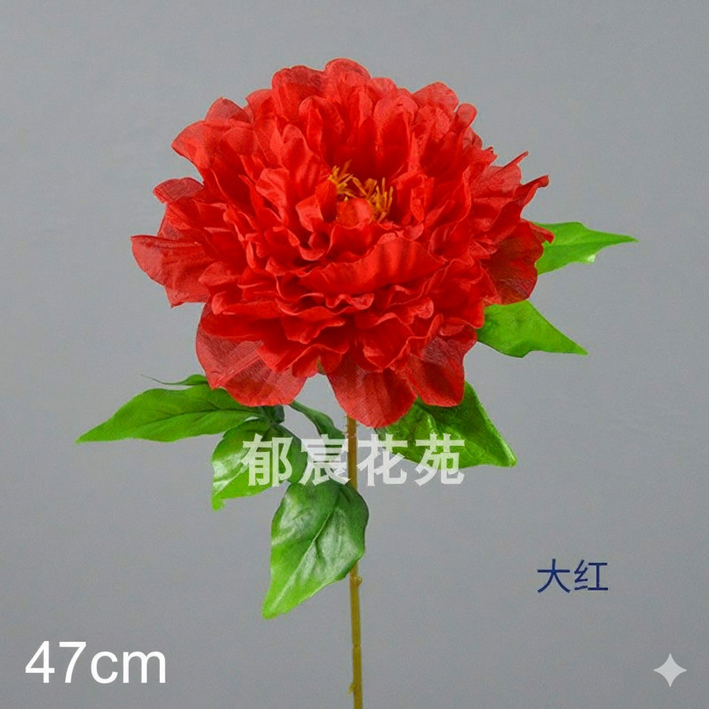 (紅色)牡丹