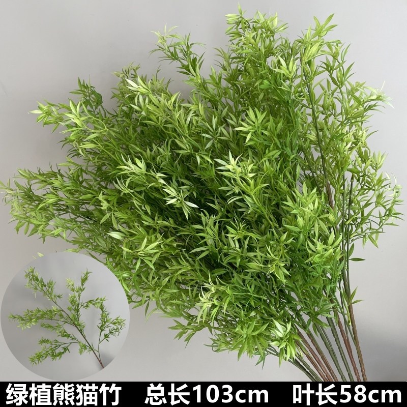 綠植熊貓竹（103cm）