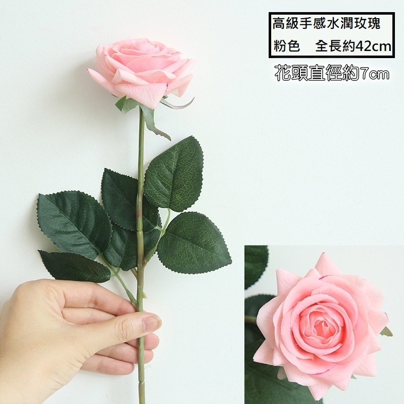 水潤角玫瑰❰粉色❱