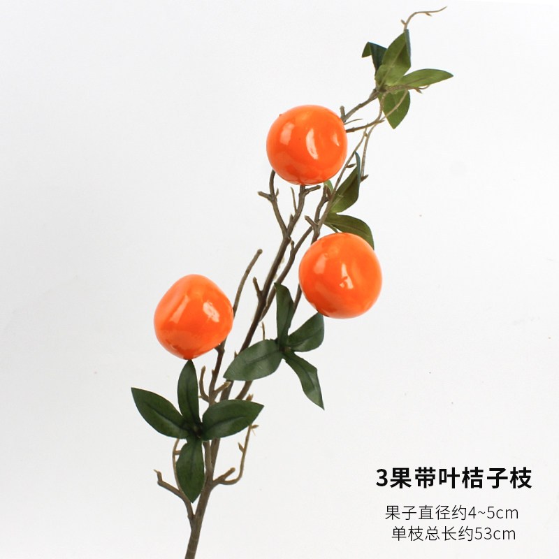 橘子｜3頭