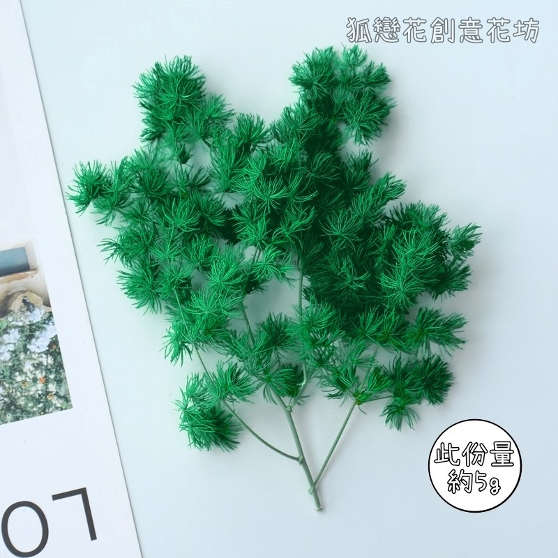 ❰深綠❱蓬萊松(5g),🦊~賣場商品眾多，歡迎參觀選購~🦊