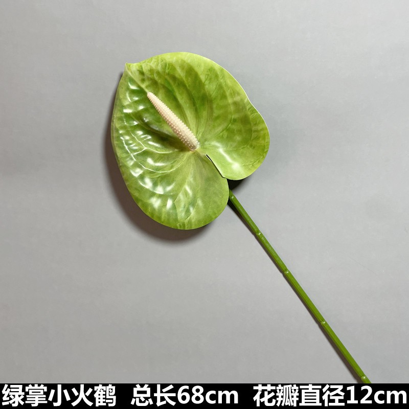 綠掌小火鶴 ( 2枝 ),🦊~賣場商品眾多，歡迎參觀選購~🦊