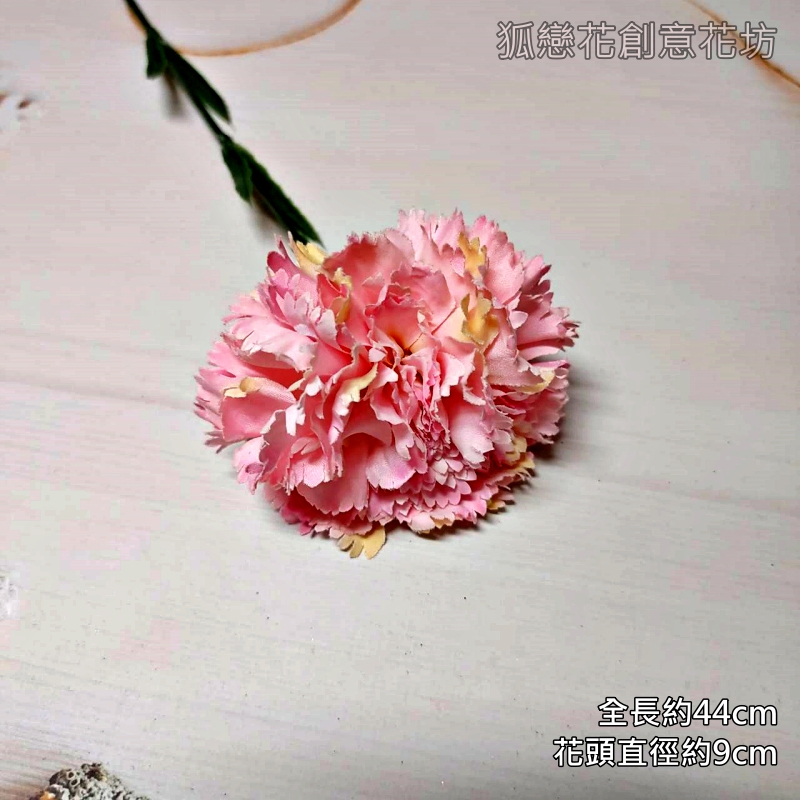 單枝康乃馨❰香檳粉❱