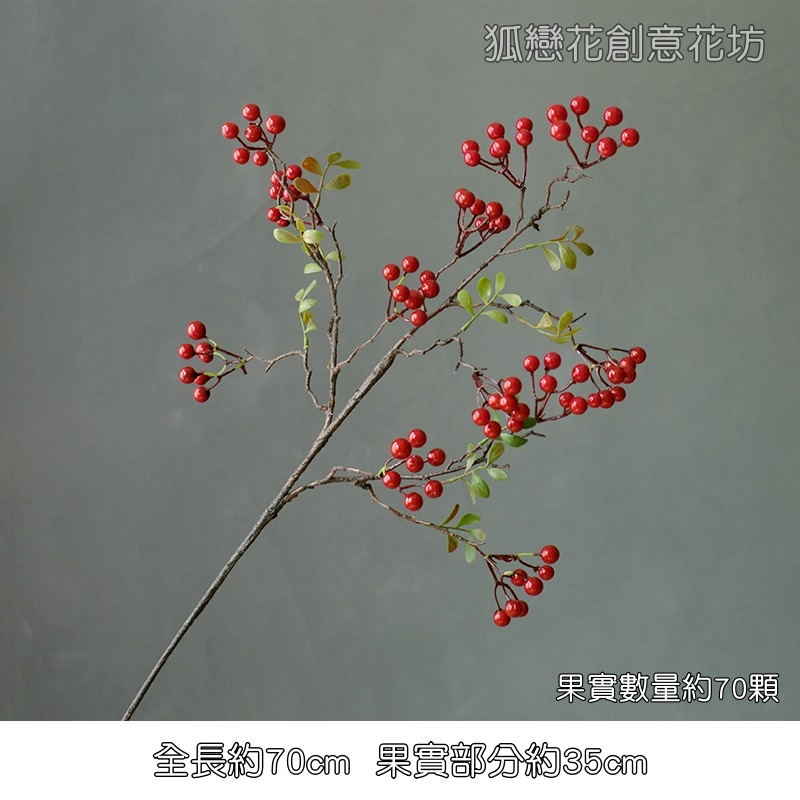 長枝小冬青果｜大紅色