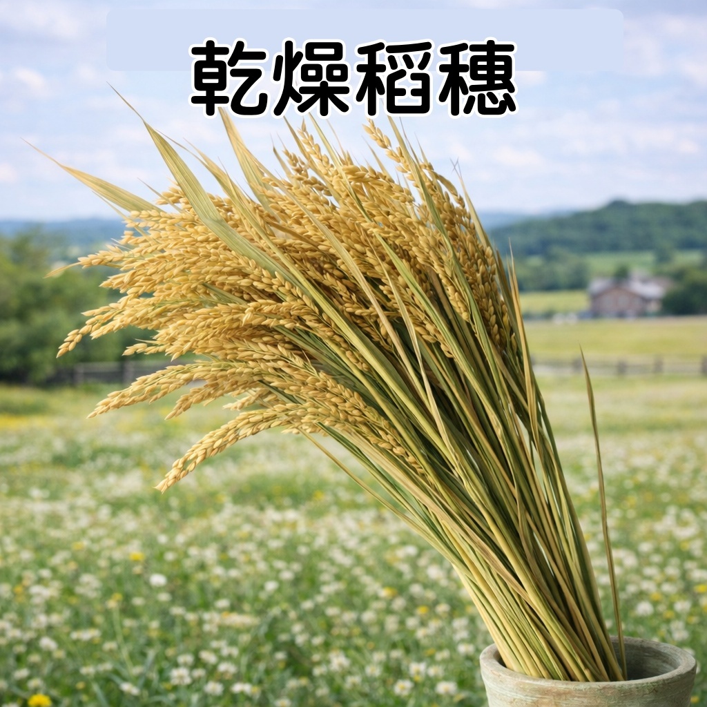 台灣現貨【乾燥稻穗】天然乾燥花材 40cm稻穗束 拜拜供花 花圈注連繩手作佈置材料 新年佈置 花藝材料 花圈藤圈 DIY