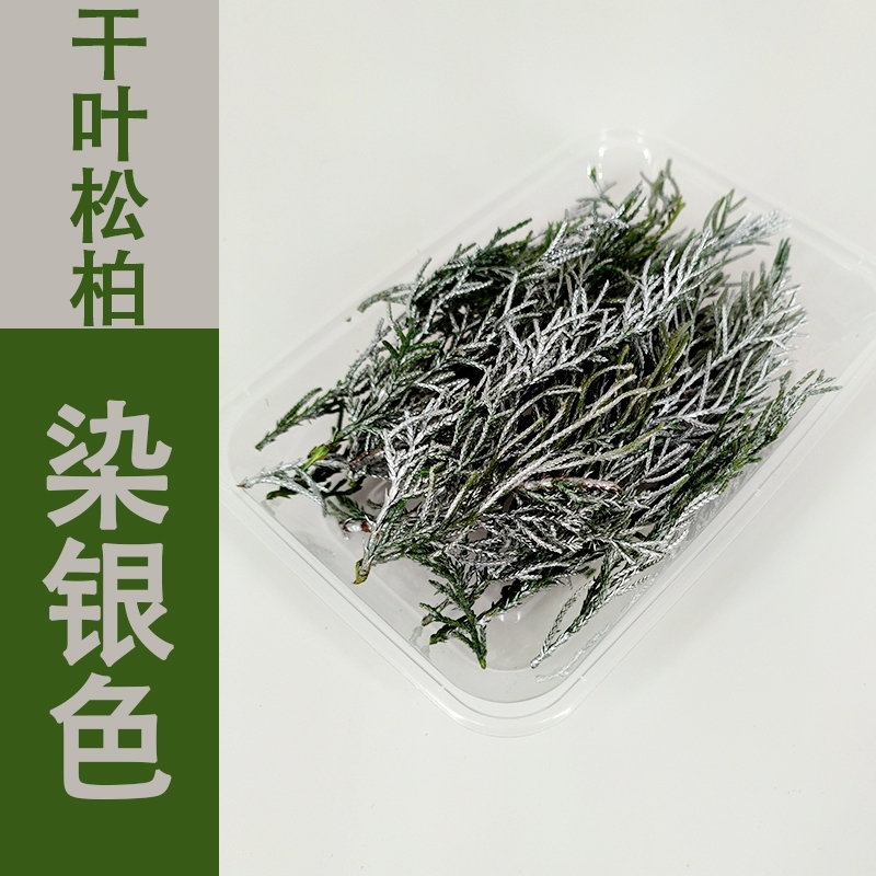 台灣現貨【葉材藤圈材料】側柏扁柏松針葉材 12cm DIY材料包 花藝材料 仿真花材 拍照打卡 桌面擺飾
