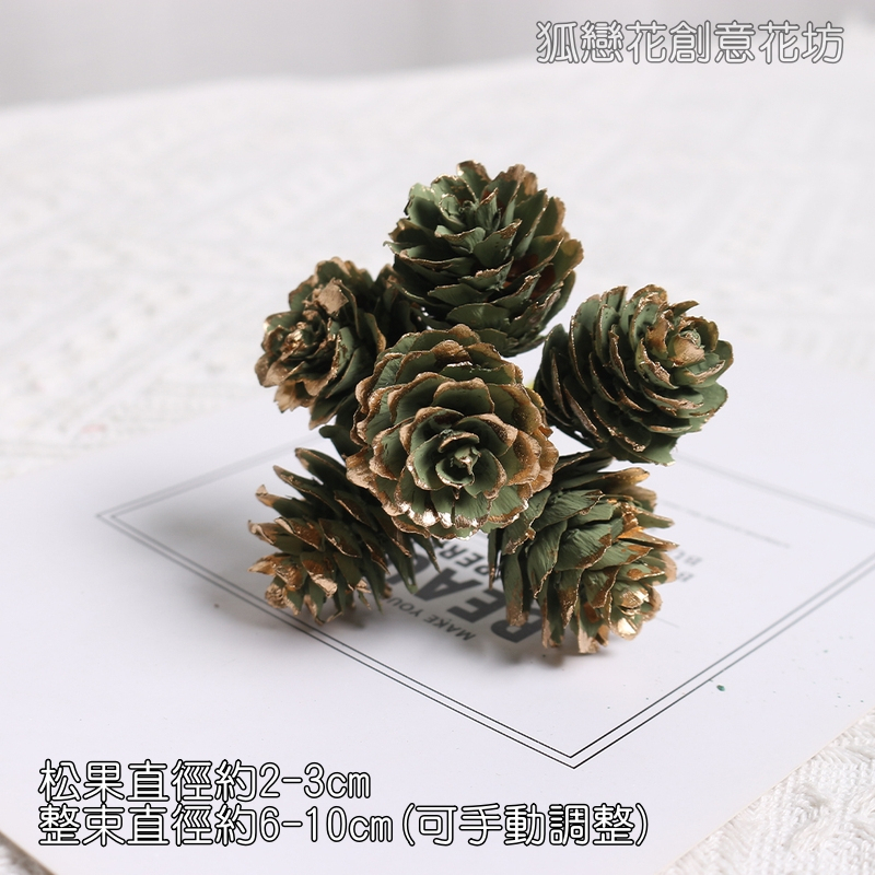 ❰綠金❱落葉松果串(1束6枝)