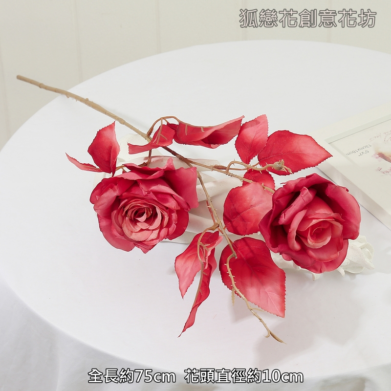 2頭莫蘭迪玫瑰❰嫣紅❱