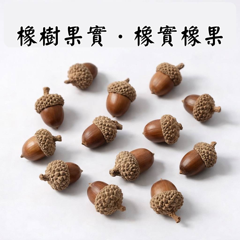 台灣現貨【橡樹果實橡實裝飾素材】大橡實小橡實 森林系乾燥花搭配 花圈藤圈 佈置 花藝材料 聖誕佈置