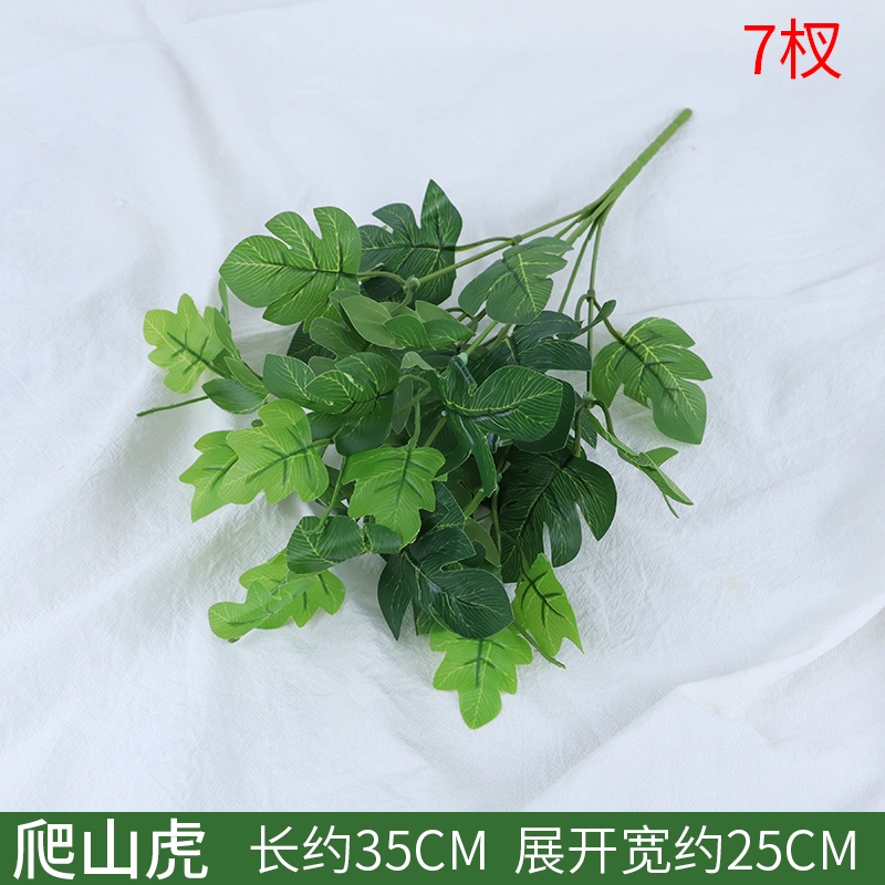 單枝｜爬山虎,🦊~賣場商品眾多，歡迎參觀選購~🦊