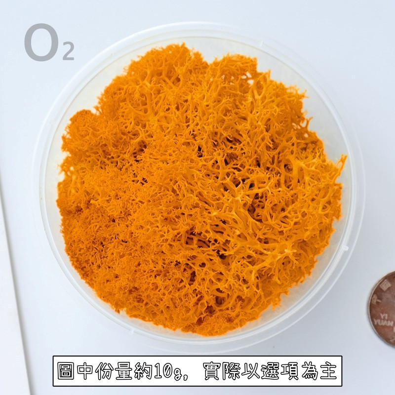 ❰橘色❱苔癬(10g),🦊~賣場商品眾多，歡迎參觀選購~🦊