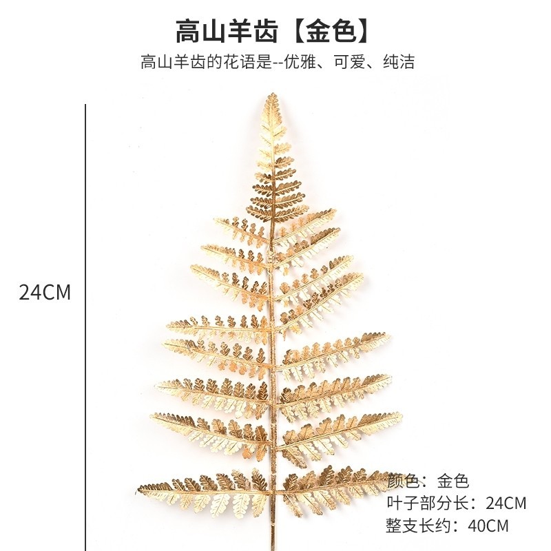 (金漆)高山羊齒(買1送1),🦊~賣場商品眾多，歡迎參觀選購~🦊