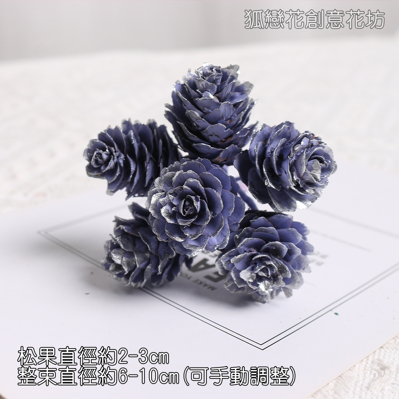 ❰紫銀❱落葉松果串(1束6枝)