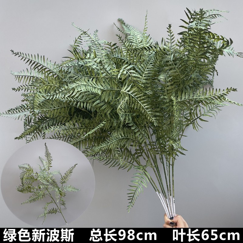 綠色貝殼葉插枝 ( 2枝 ),🦊~賣場商品眾多，歡迎參觀選購~🦊