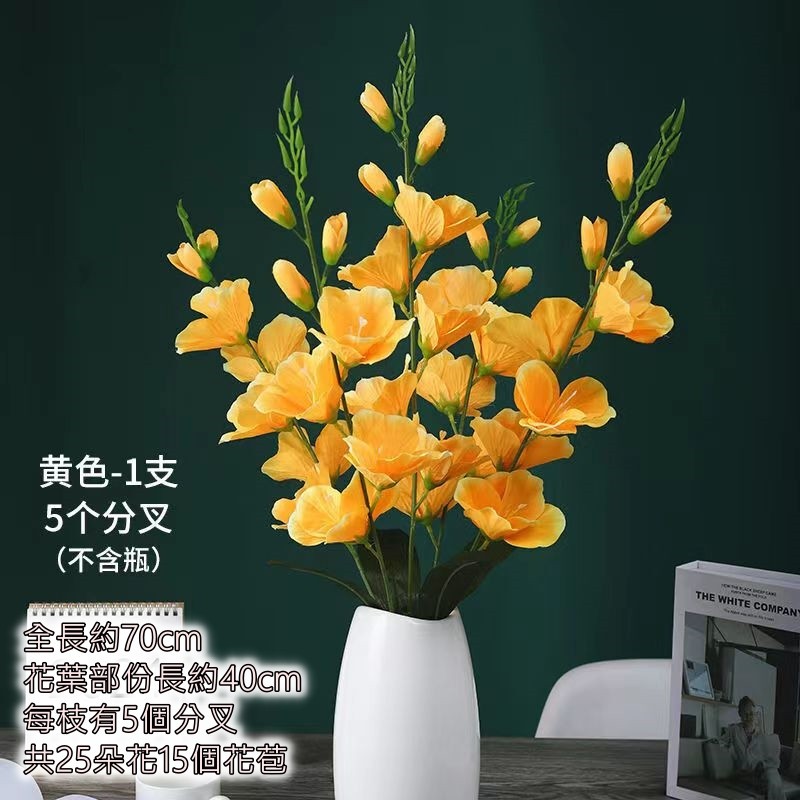 黃色劍蘭（70cm）
