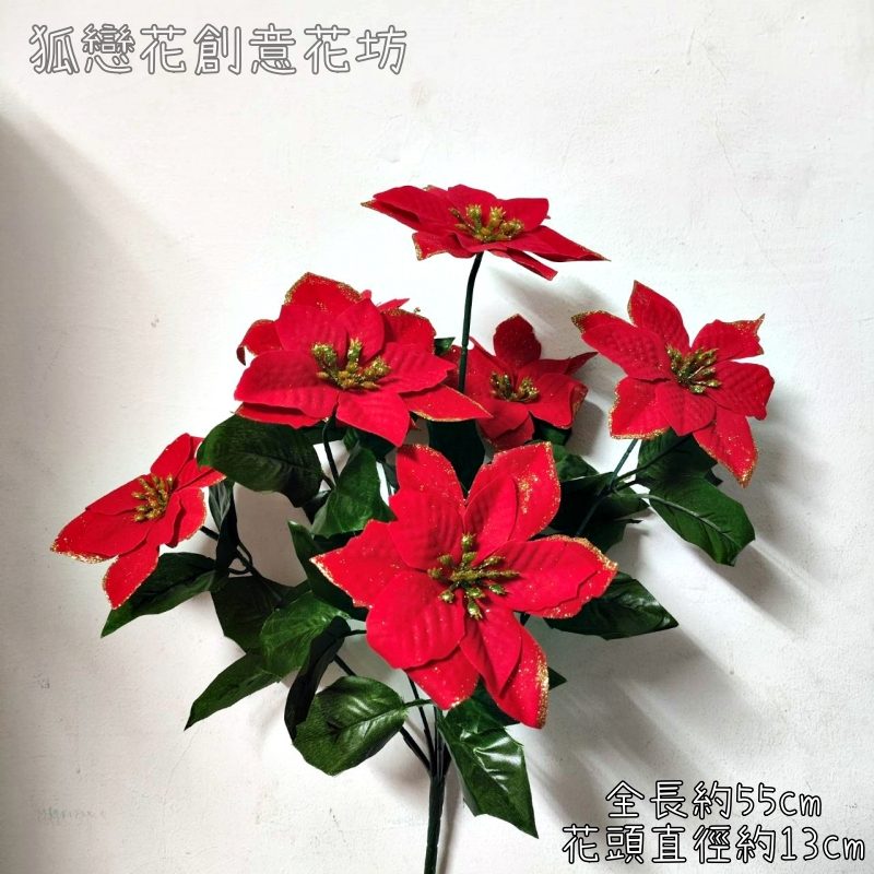 單束：7頭金粉小聖誕紅(42葉)