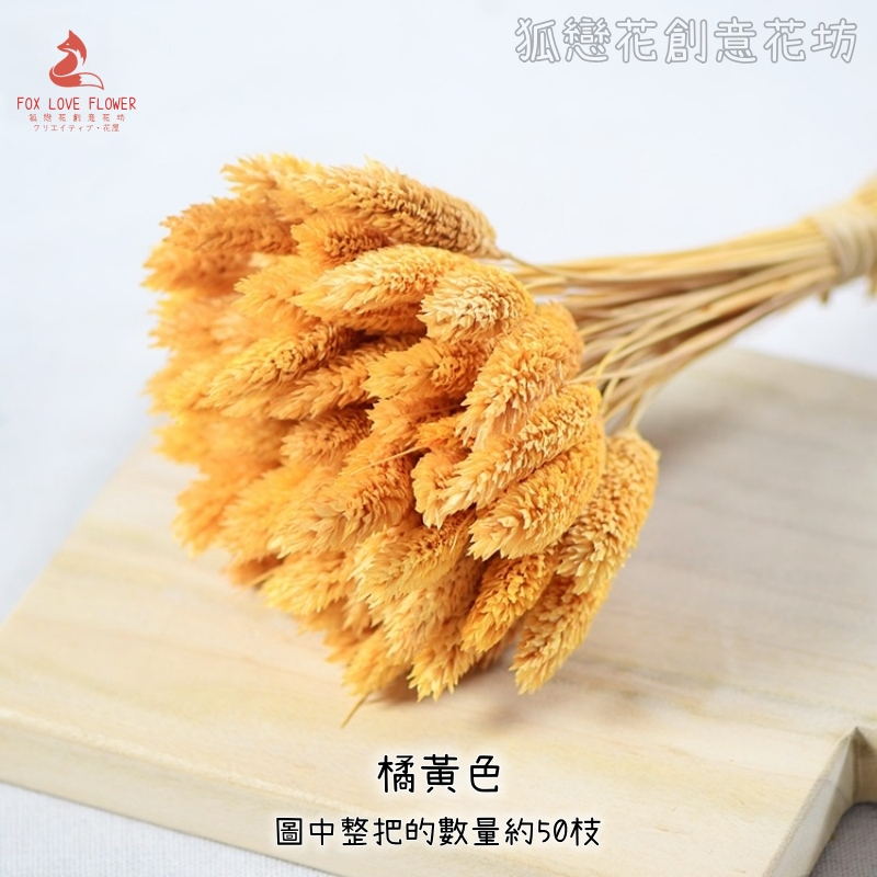 ❰橘黃❱佳那利10枝,🦊~賣場商品眾多，歡迎參觀選購~🦊